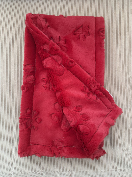 Cardinal Paws Minky Scarf